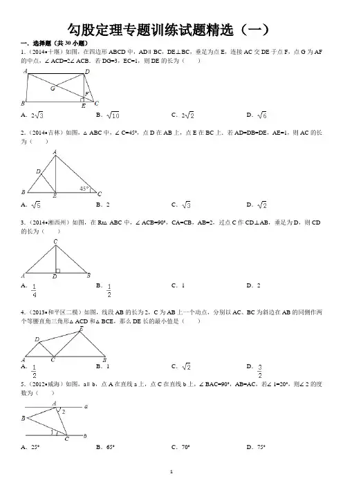 勾股定理专题训练试题精选(一)附答案