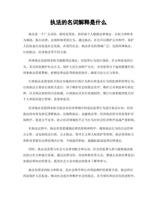 执法的名词解释是什么