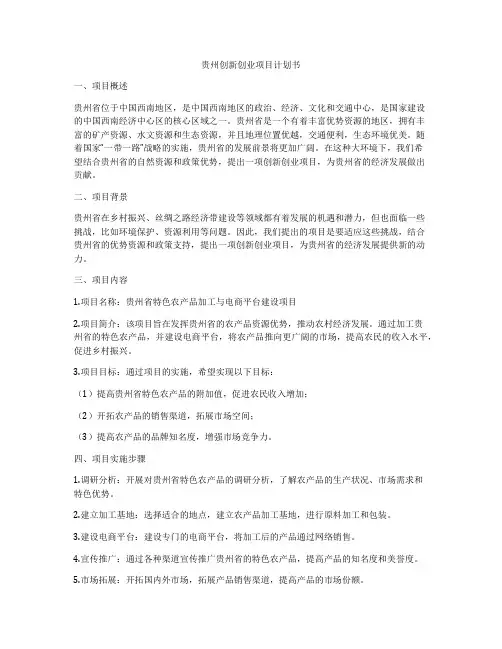 贵州创新创业项目计划书