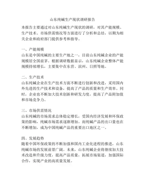 山东纯碱生产现状调研报告