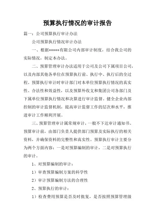 预算执行情况的审计报告