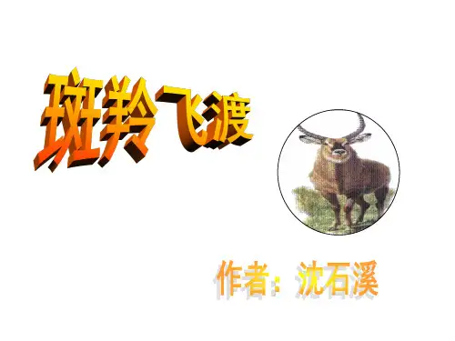 七年级语文下册 第27课《斑羚飞渡》课件 新人教版(2)