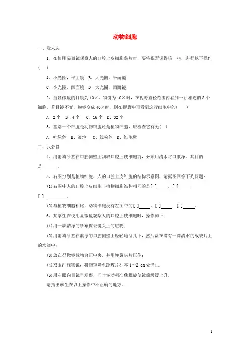 凌云县七中七年级生物上册 第二单元 第一章 第三节 动物细胞课堂训练 新人教版