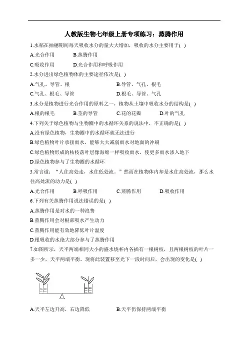人教版生物七年级上册专项练习：蒸腾作用