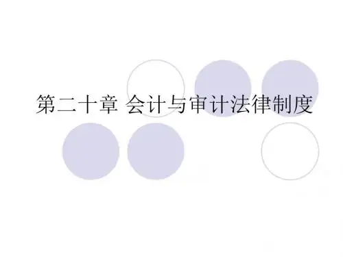 第二十章 会计与审计法律制度