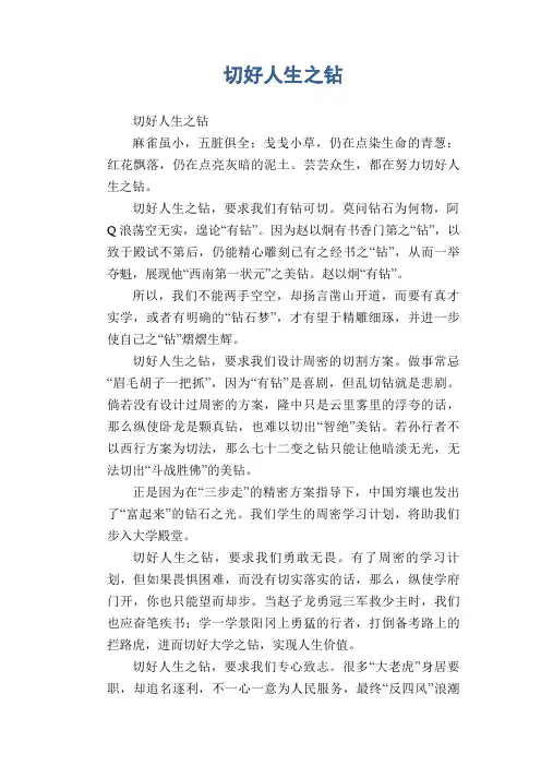 高中生满分作文精选：切好人生之钻