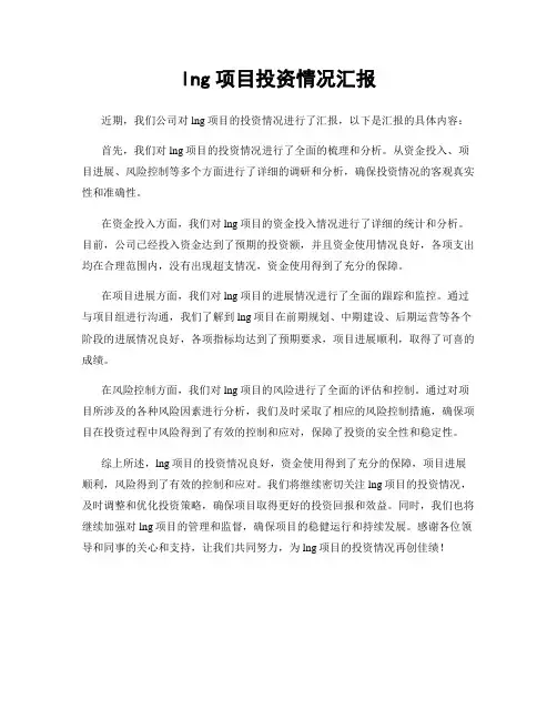 lng项目投资情况汇报