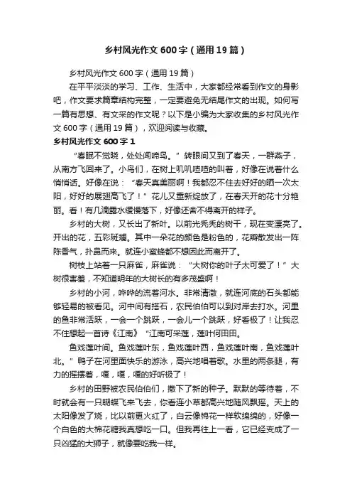 乡村风光作文600字（通用19篇）