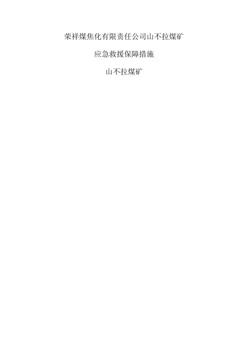 应急保障措施 (1)