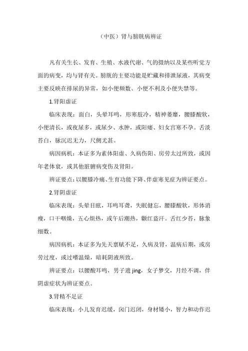 (中医)肾与膀胱病辨证