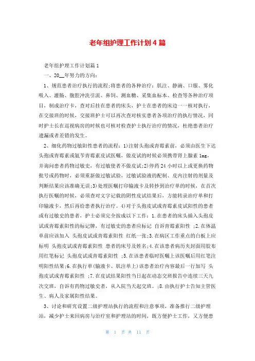 老年组护理工作计划4篇