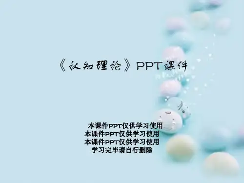 《认知理论》PPT课件