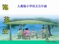 yina_《落花生》课件(新人教版小学语文五年级上册课件)