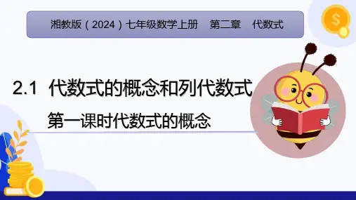 2.1代数式的概念和列代数式(第1课时 代数式的概念)(课件)七年级数学上册(湘教版2024)