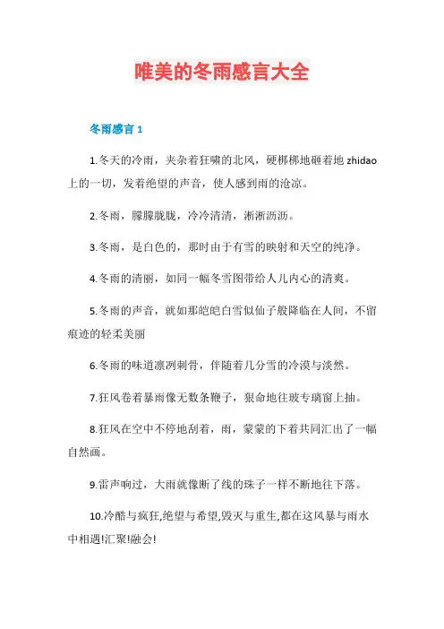 唯美的冬雨感言大全