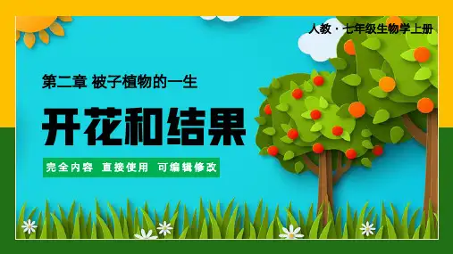 七年级上册被子植物的一生开花和结果PPT课件