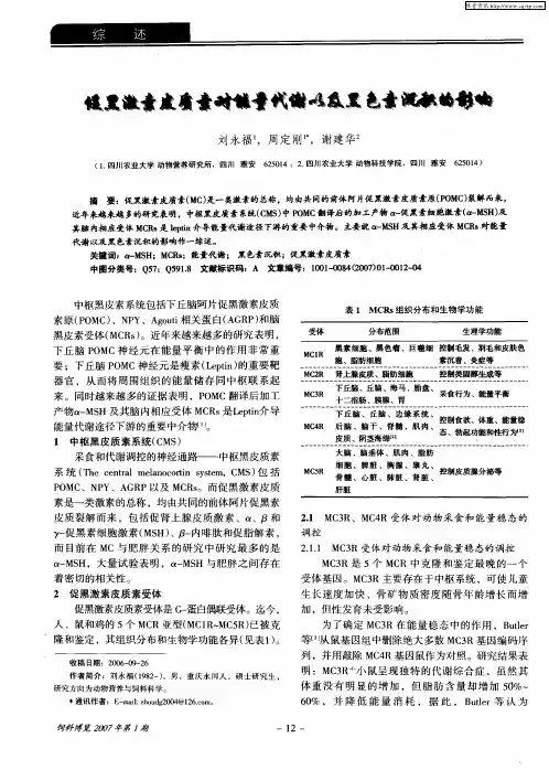 促黑激素皮质素对能量代谢以及黑色素沉积的影响