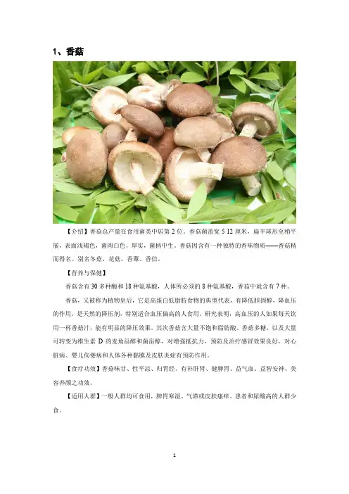 菌类品种介绍