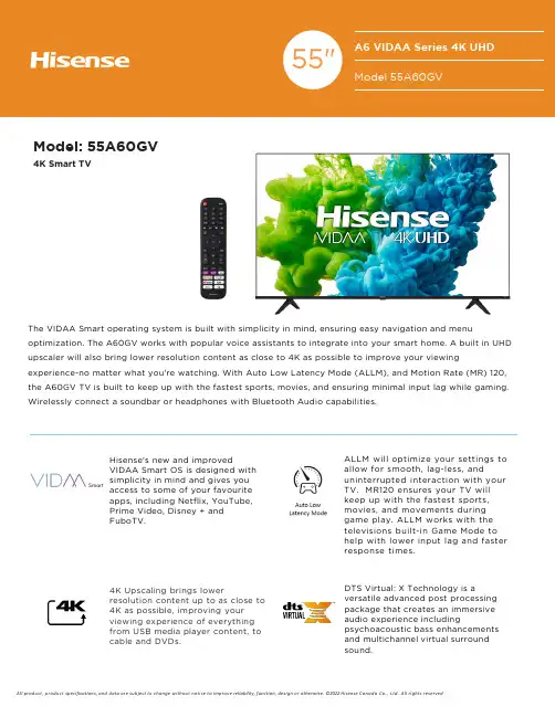 Hisense VIDAA Series 4K UHD 智能电视 55A60GV 说明书