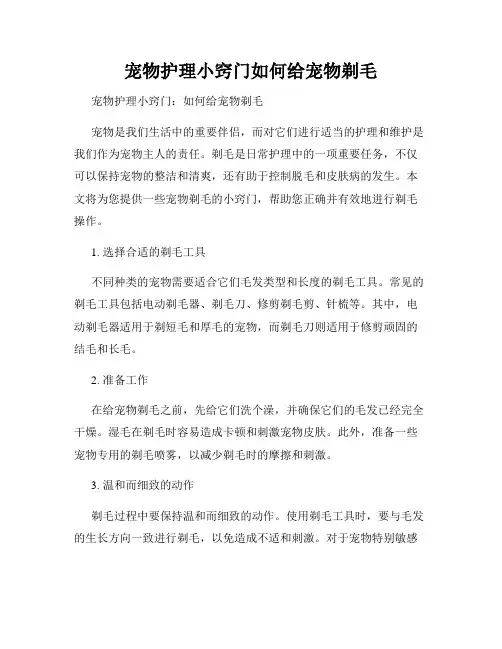 宠物护理小窍门如何给宠物剃毛