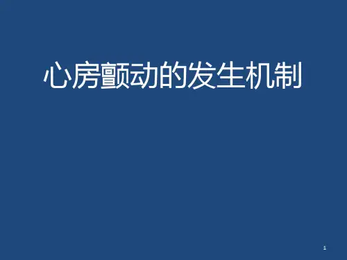 心房颤动的发生机制PPT课件