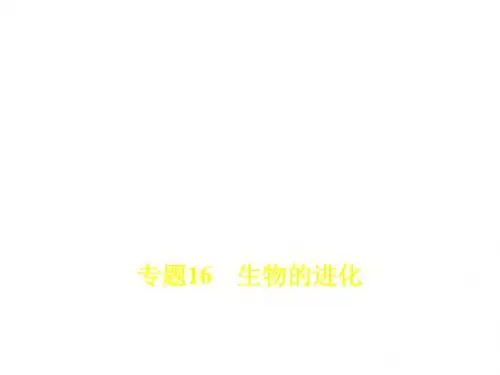 2018年高考生物(课标Ⅰ专用)复习专题测试：专题16 生物的进化 (共38张PPT)