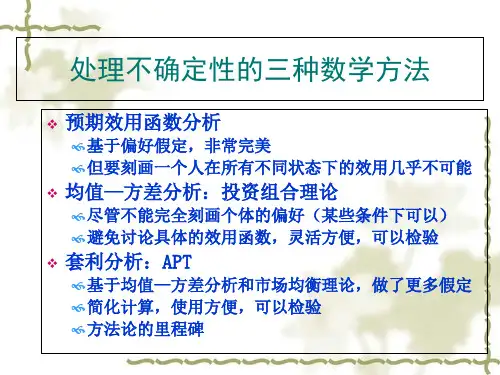 投资组合理论知识(PPT 115页)