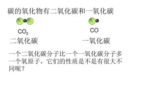 人教版九年级化学上册 6.3  二氧化碳和一氧化碳(共20张PPT)
