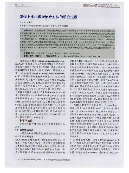 阴道上皮内瘤变治疗方法的研究进展