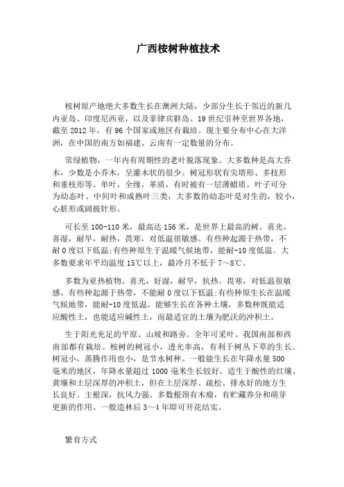 广西桉树种植技术