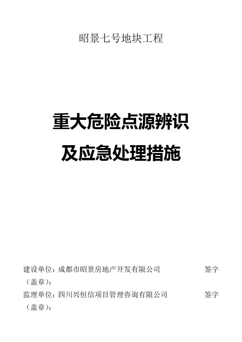 重大危险点源辨识及应急处理措施(完整版)