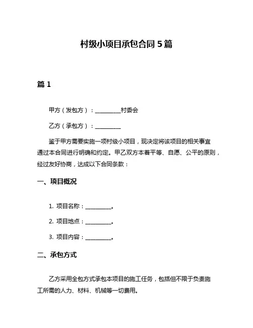 村级小项目承包合同5篇