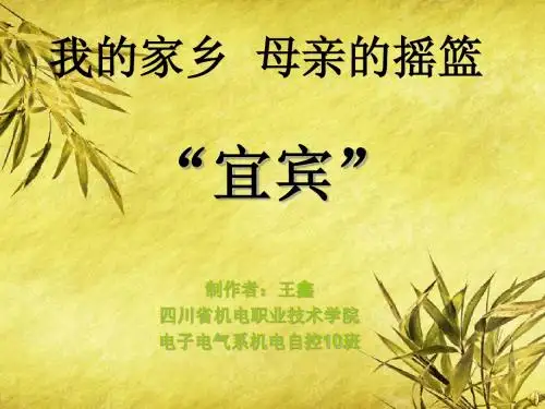 我的家乡,母亲的摇篮---宜宾
