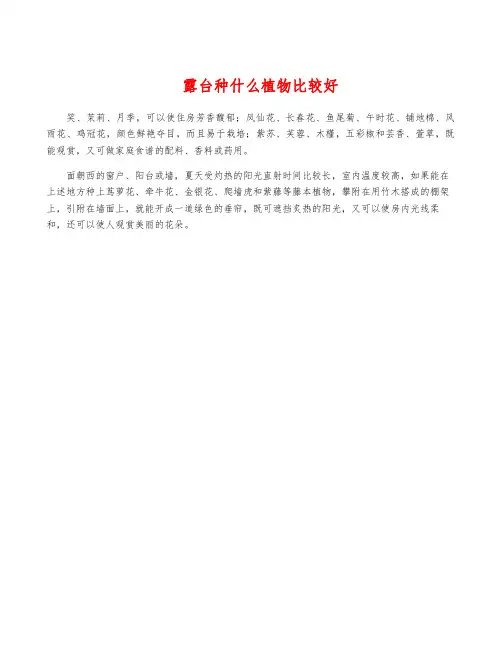 露台种什么植物比较好