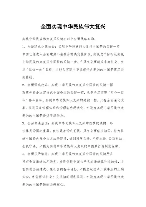 全面实现中华民族伟大复兴