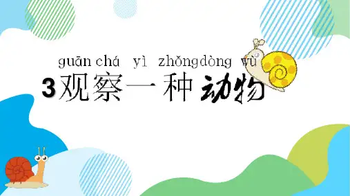 二年级下册科学课件《菜叶上的蜗牛》粤教版
