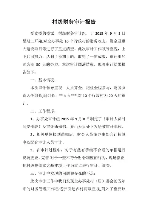 村级财务审计报告