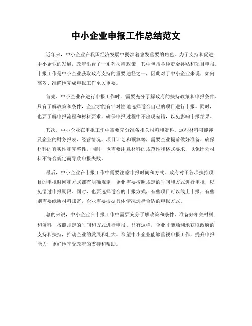 中小企业申报工作总结范文