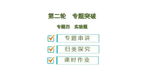 2020版中考生物新突破大二轮专题复习专题四 实验题