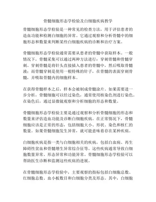 骨髓细胞形态学检验及白细胞疾病教学 
