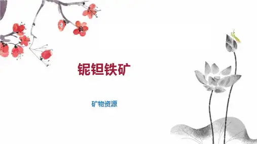 铌钽铁矿    