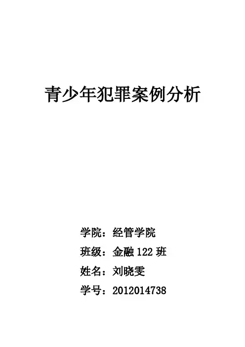 青少年犯罪案例分析