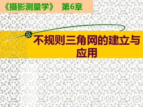 TIN  规则三角形