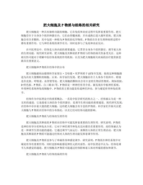 肥大细胞及P物质与经络的相关研究