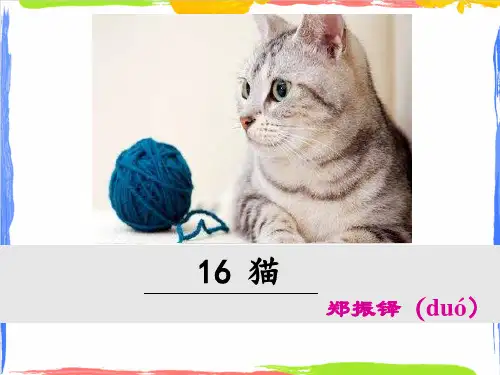 统编版初中语文七年级上册 17《猫》课件(共37张PPT)