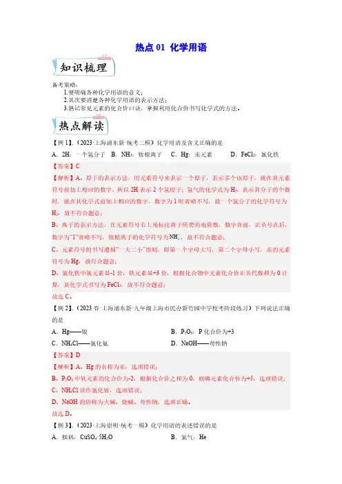 热点01 化学用语-2023年中考(解析版)