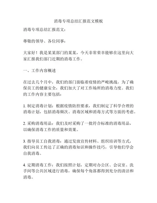 消毒专项总结汇报范文模板