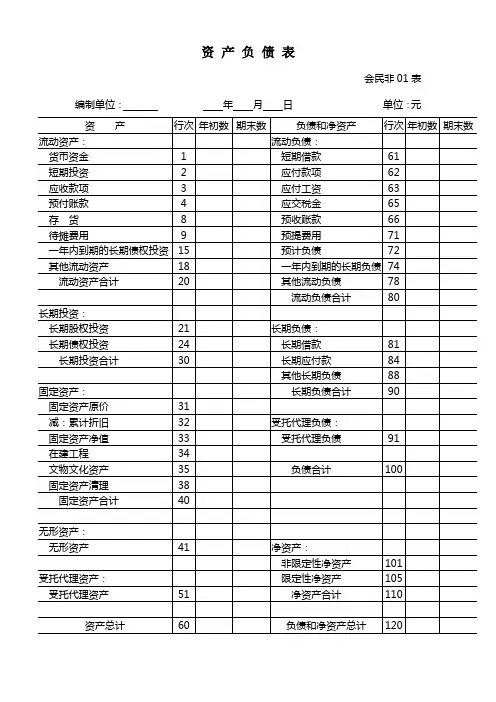 民办非企业单位财务报表