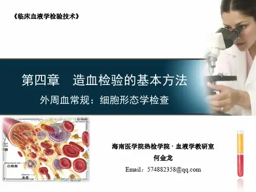 外周血细胞形态学检查