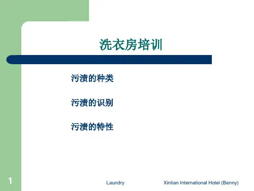 6.17洗衣房污渍的辨别